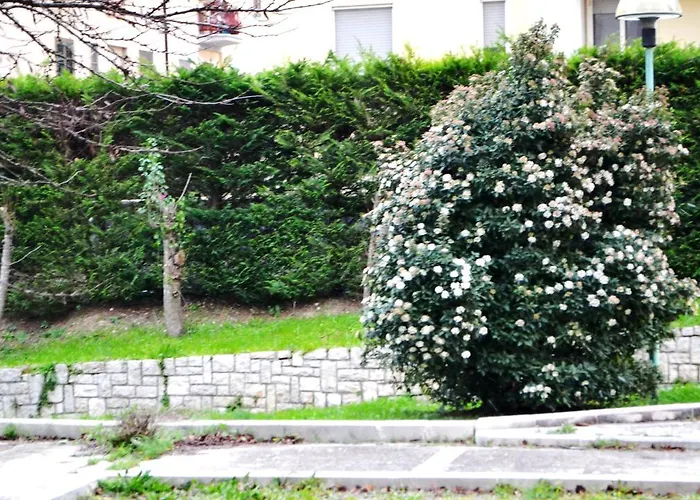 La Casa Di Olga Appartamento *